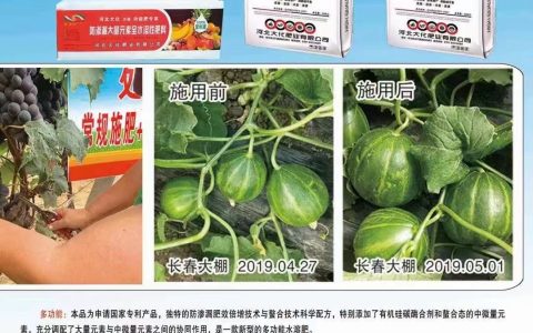 大量元素水溶肥、冲施肥肥料怎么选？看懂配方数字与选型要点