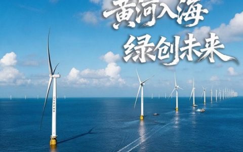 “两山”染绿黄河岸 | 黄河东入海，遇见绿色低碳新未来